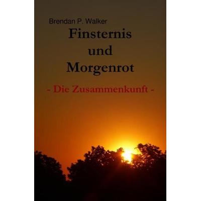 Finsternis und Morgenrot, Taschenbuch von Brendan P. Walker, Epubli, 978-3-7450-5544-3