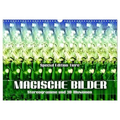 Magische Bilder - Stereogramme und 3D-Illusionen (Wandkalender 2027 DIN A3 quer), CALVENDO Monatskalender