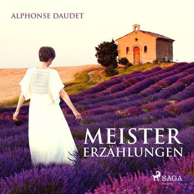 Meistererzählungen (Ungekürzt) - Alphonse Daudet, Audio, 9788726137149