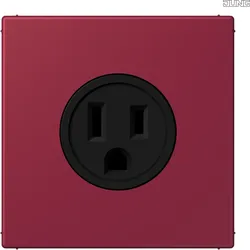 Jung LC521-15255 Steckdose US-Norm NEMA LC4320M