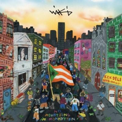No Mountains In Manhattan - Wiki, Vinyl