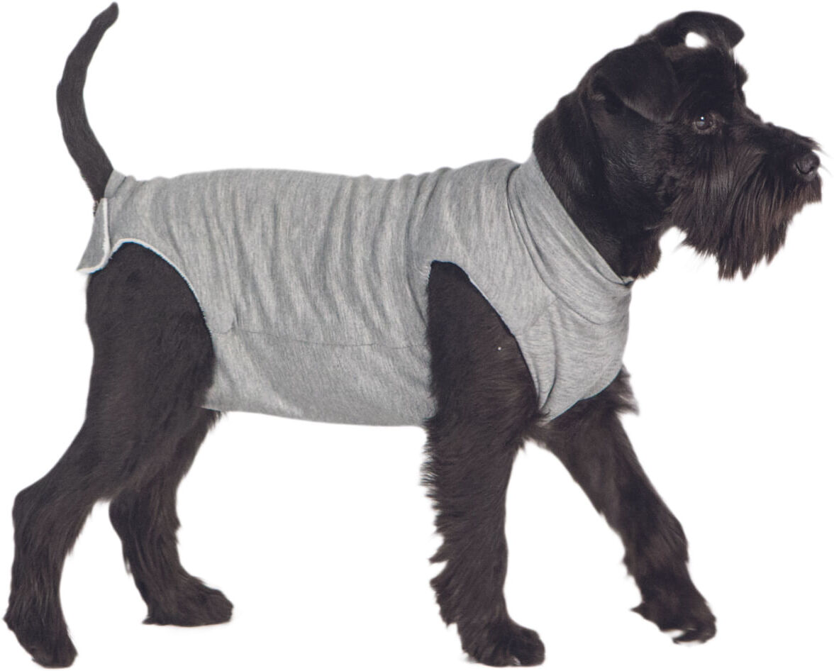 PERFECT Body Post Operatorio per Cane e Gatto TG.30