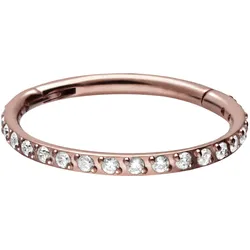 Titan Segmentring Clicker EINGEFASSTE KRISTALLE