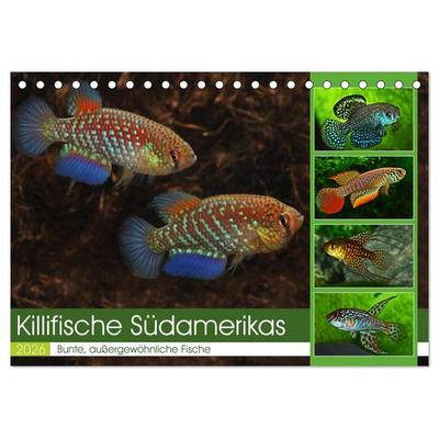 Killifische Südamerikas (Tischkalender 2026 DIN A5 quer), CALVENDO Monatskalender
