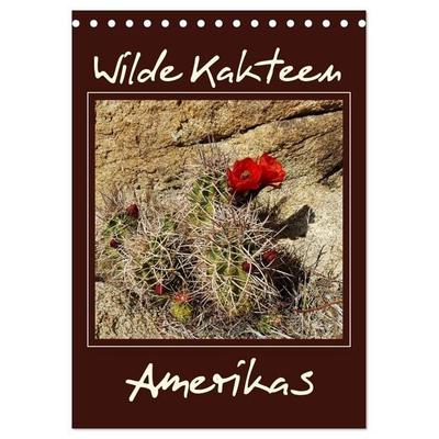 Wilde Kakteen Amerikas (Tischkalender 2027 DIN A5 hoch), CALVENDO Monatskalender
