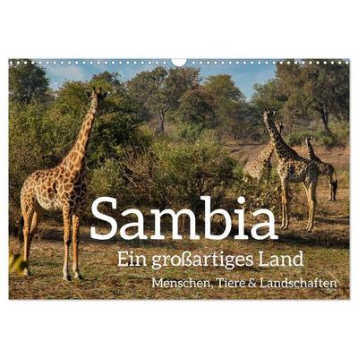 Sambia - ein großartiges Land (Wandkalender 2027 DIN A3 quer), CALVENDO Monatskalender