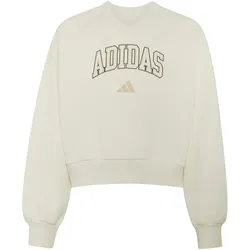 adidas Seasonals Collegiate Typography V-Neck Sweatshirt Mädchen KS5136 - off white/crystal linen 170
