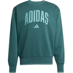 ADIDAS Herren Sweatshirt College Style, Größe XL in Grün Grün