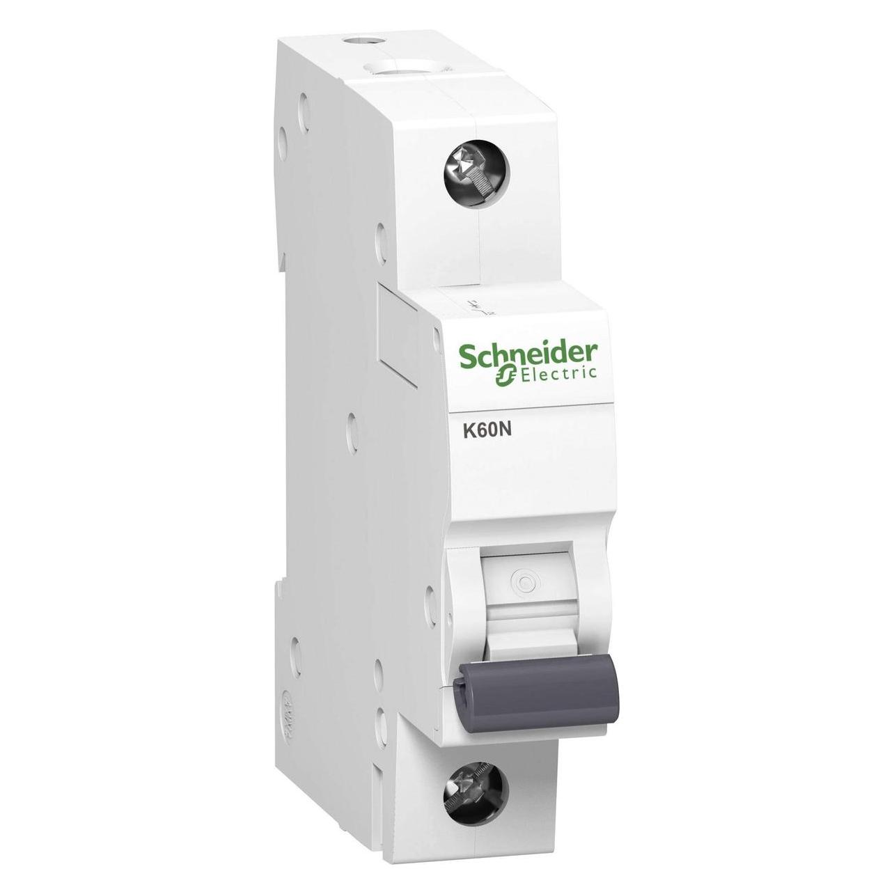 Schneider Electric Überstromschutzschalter K60N-C2 - A9K02102 (A9K02102)