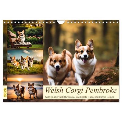 Welsh Corgi Pembroke (Wandkalender 2026 DIN A4 quer), CALVENDO Monatskalender