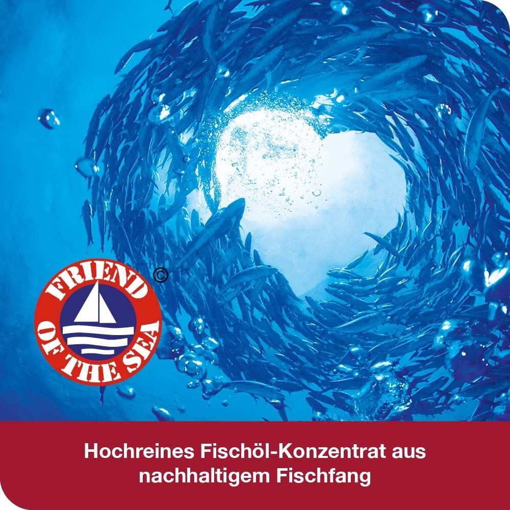 Omega3-Loges plus Kapseln 60 St