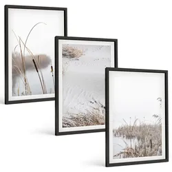 BILDER SET 3er Set - 40x60 cm Schwarzer Rahmen - Wasserpflanzen im Sommer