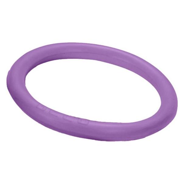 Beco Unisex - Erwachsene Universal Ring-9666 Tauchringe, lila, One Size (0/009666/77)