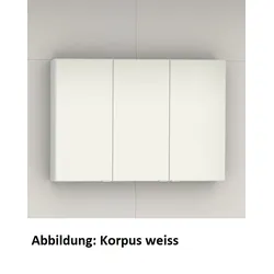 Artiqua Variabler Spiegelschrank, Stahlgrau, 070-SDV-3-88 070-SDV-3-88