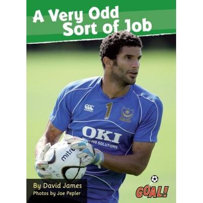 A Very Odd Sort of Job, Taschenbuch von David James,James David, Ransom Publishing Ltd, 978-1-84167-866-5