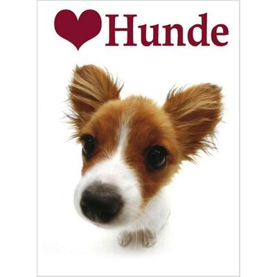 Ich liebe Hunde, Gebundene Ausgabe von Helen Exley, Edition XXL, 978-3-95408-802-7