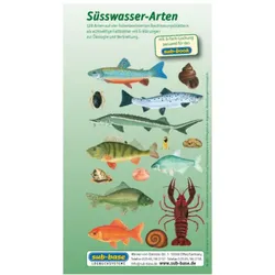 Fischkartenset Süsswasser