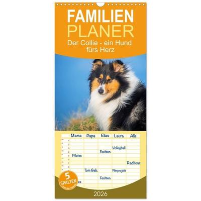 Familienplaner 2026 - Der Collie - ein Hund fürs Herz mit 5 Spalten (Wandkalender, 21 x 45 cm) CALVENDO