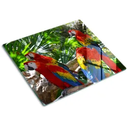 GLASPLATTE 60x52 cm Aras Papageien