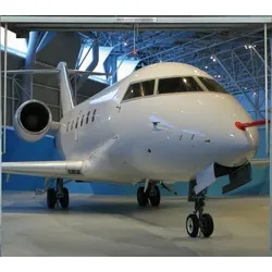 Scheurich Garagentorplane Airplane, für Schwing- und Sektionaltore