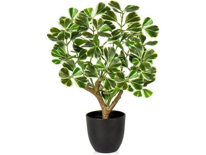 Kunstpflanze Ficus 43 cm Grün & Weiß im schwarzen Topf, Mehrfarbig, Kunststoff, 43 cm, Dekoration, Blumen & Blumentöpfe, Kunstpflanzen