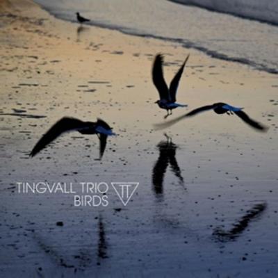 Birds (180 Gr. Black Vinyl) - Tingvall Trio, Vinyl