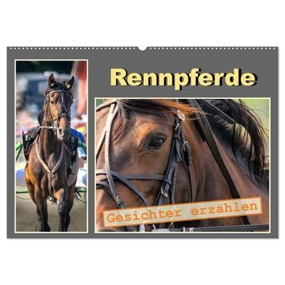 Rennpferde - Gesichter erzählen (Wandkalender 2027 DIN A2 quer), CALVENDO Monatskalender