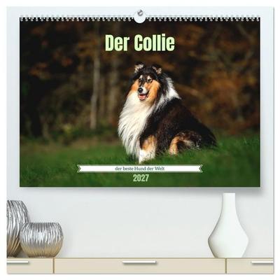 Der Collie der beste Hund der Welt (hochwertiger Premium Wandkalender 2027 DIN A2 quer), Kunstdruck in Hochglanz