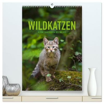 Wildkatzen - Kleine Samtpfoten des Waldes (hochwertiger Premium Wandkalender 2026 DIN A2 hoch), Kunstdruck in Hochglanz