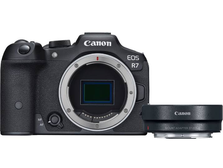 Canon EOS R7 + EF-EOS R Adapter