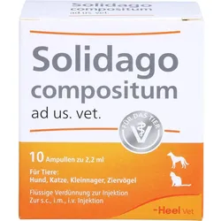 Solidago Comp Ad Us Vet 10 ST