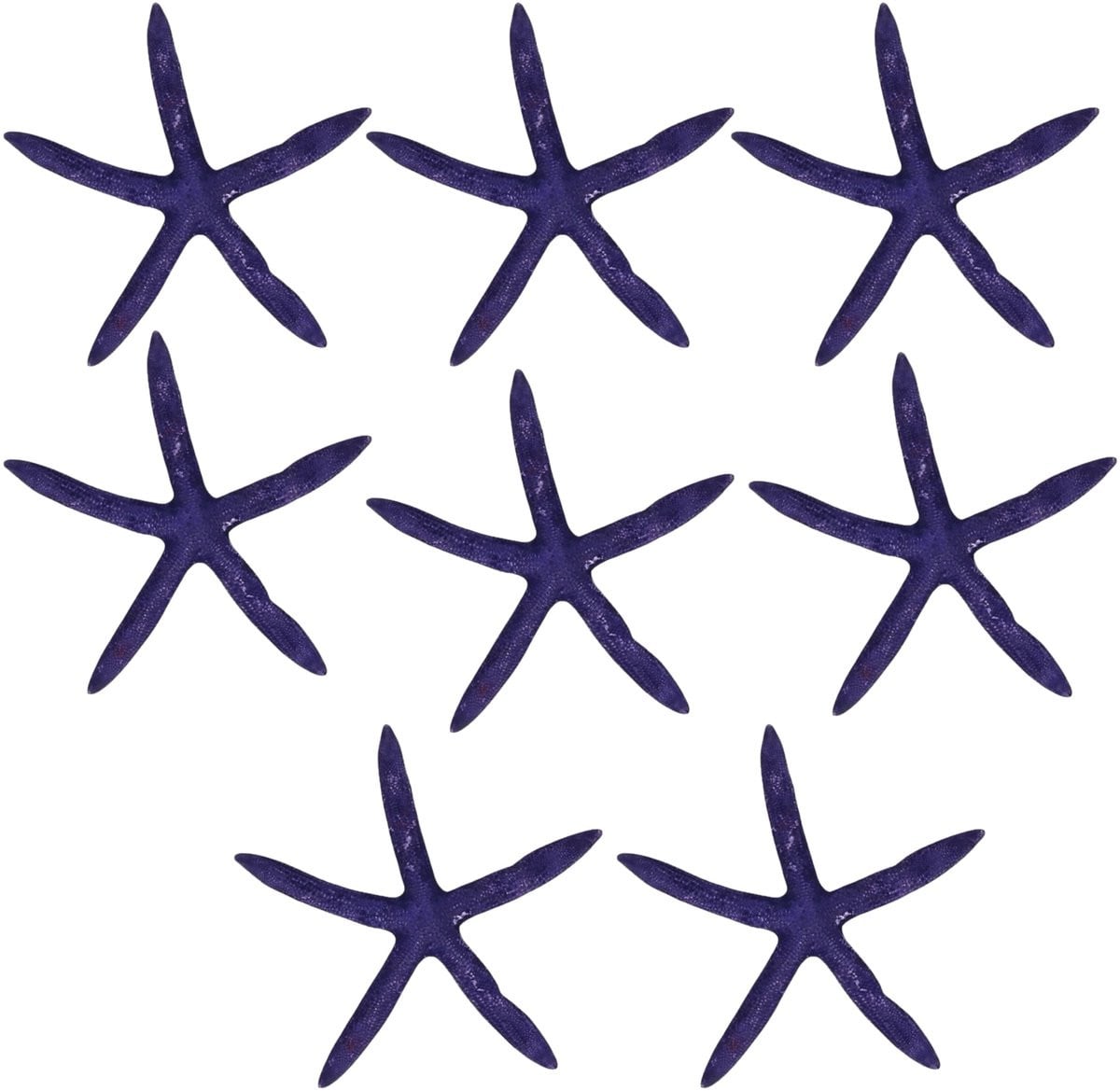 Set van 8 paarse decoratieve zeesterren voor maritieme decoratie