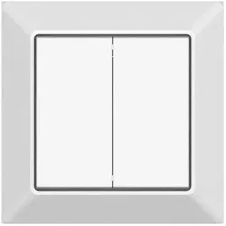 Rp-Group Casambi Doppeltaster YMOCA-QA-DB, Schalter + Taster