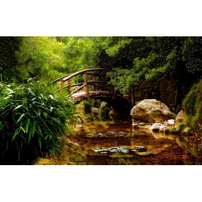 Fototapete PAPERMOON "Brücke im Wald", bunt, B:5m L:2,8m, Vlies, Tapeten