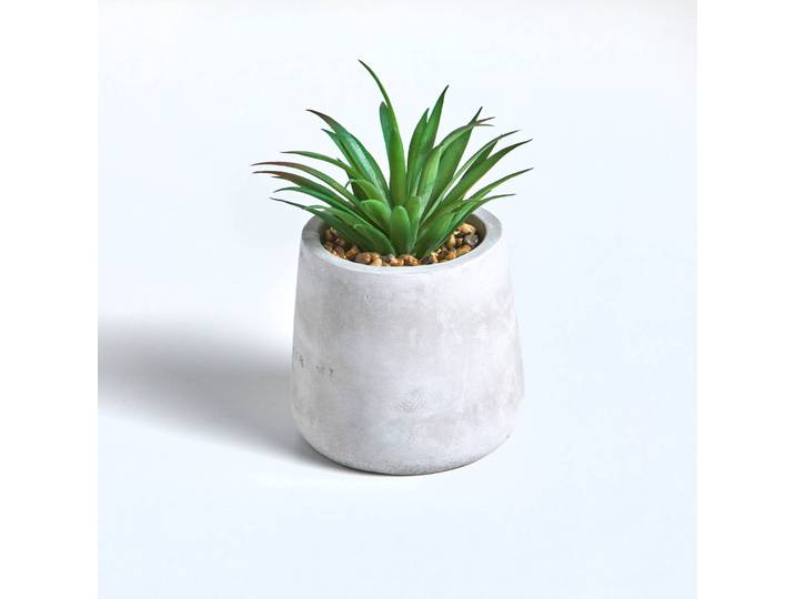 Plante artificielle et pot en ciment - Blancheporte