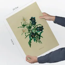 POSTER Impression Artistique Campanule A3 Rahmenlos