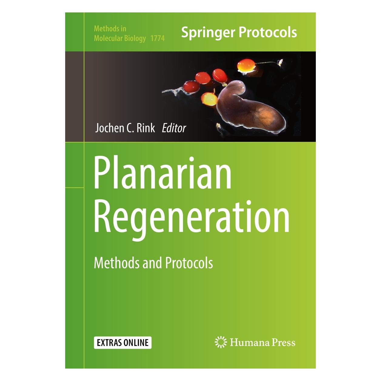 Springer Planarian Regeneration (9781493978007)