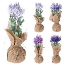 Home&Styling Lavendelpflanze Im Jute (33167073)