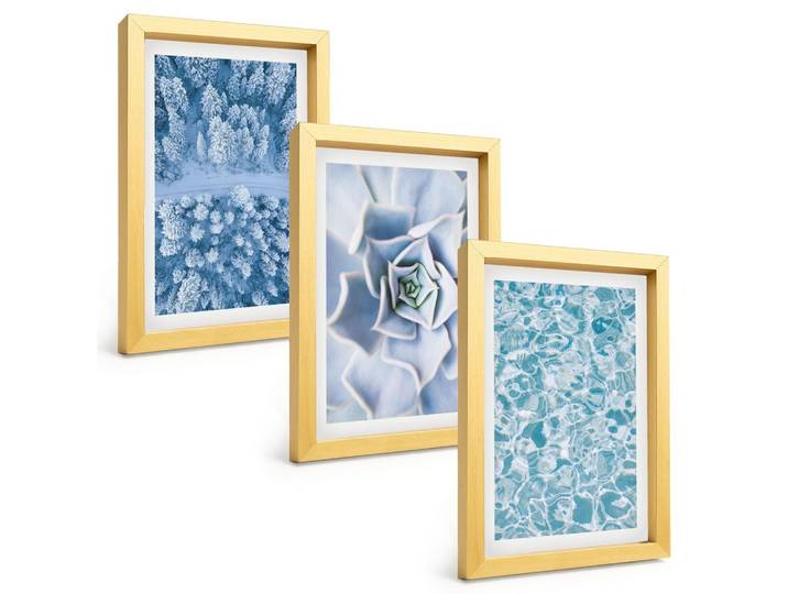 BILDER SET 3er Set - 20x30 cm Goldrahmen - Winterwald blaue Blume Wasser