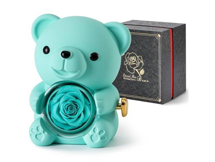 Ariceleo Romantische teddybeer met geconserveerde roos - verborgen sieradendoosje en hartvormige ketting - uniek cadeau voor haar - Valentijnsdag, Moederdag, bruiloft, jubileum, bruidsdouche