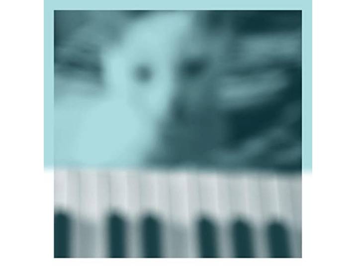 Piano Works Vol. 1