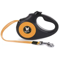 Martin Sellier L (L, Hund, Spazieren), Halsband + Leine