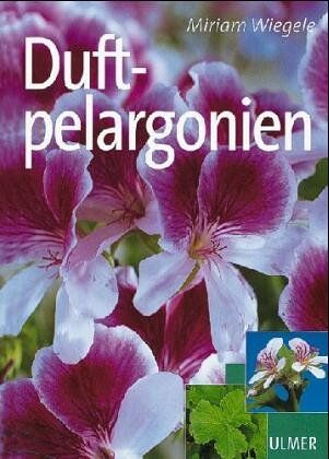 Duftpelargonien - Preis vom 01.10.2026 17:08:56 h