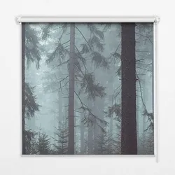 INNENROLLO - Fensterrollo - Rollo - 100x100 cm - Wald bei Nacht