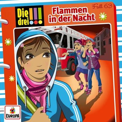 Fall 63: Flammen in der Nacht - Peter Nissen,Maja von Vogel,Hartmut Cyriacks, Audio, 4064066610937