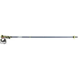 LEKI Herren Alpin-Skistock Carbon 14 3D, Größe 120 in Blau Blau