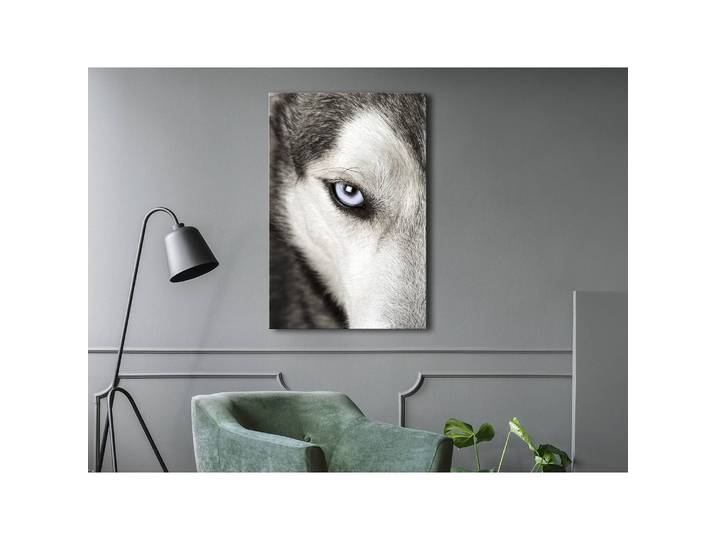 Tableau déco Dogs Look Lin Gris 40 x 60cm