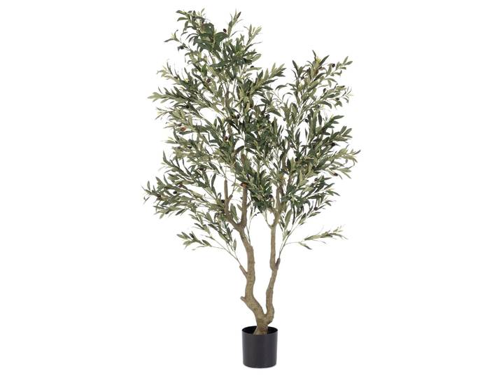 Kunstpflanzen Olivenbaum im Kunststofftopf H: 180 cm Bizzotto / Farbe: Grün