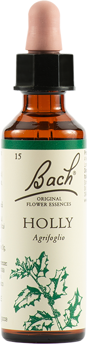 Schwabe Pharma Italia Holly Bach Original 20ml