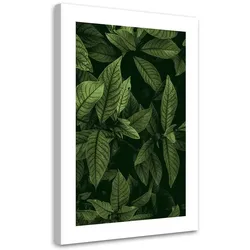 WANDBILD grüne blätter